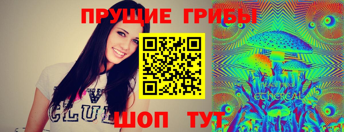 Псилоцибиновые грибы ЛСД Бийск