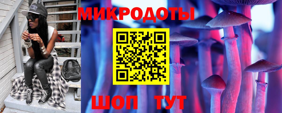 Бийск  Псилоцибиновые грибы Magic Shrooms  Вход с VPN  Псилоцибиновые грибы GOLDEN TEACHER 