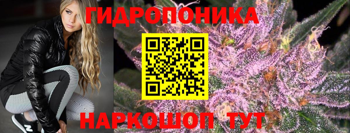 Конопля конопля  Вход с VPN  Канабис план  Шишки марихуана планчик  Бийск 